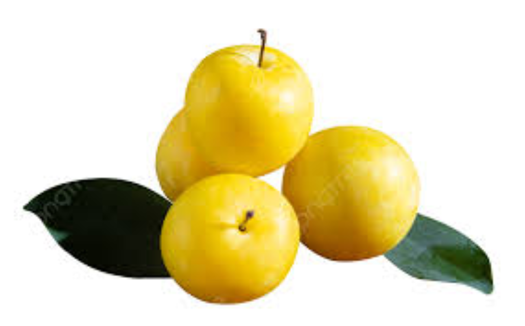 AAA FRESH YELLOW PLUM